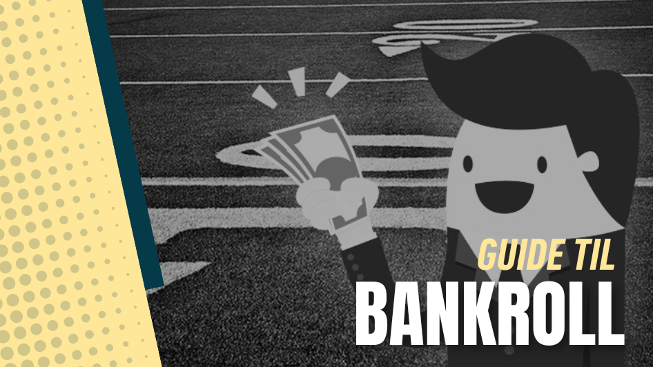 Guide til bankroll