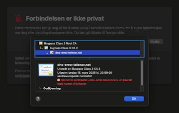 Skjermbilde viser sertifikat for dns feil