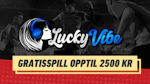 2500 gratisspill luckyvibe