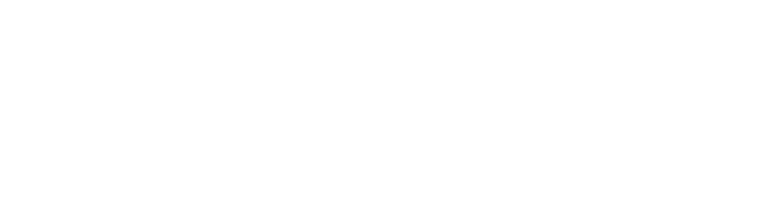 Cashmio Logo Transp