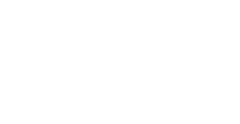 SpinAway Logo White